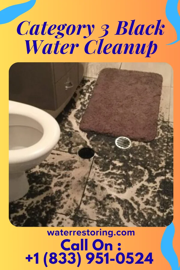 Category 3 Black Water Cleanup in Whitfield, FL